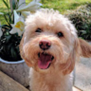 Meet your Posher, Maegan